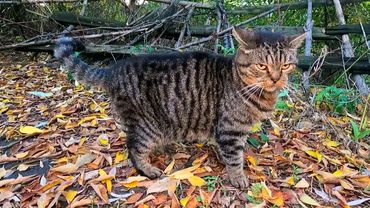 #Славянск. 10 октября 2025г. Вечер. Осенний курорт...