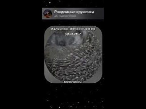 Ёжик #fyp #foryoupage #memes #meme #рандомныекружочки #кружки #кружочки #приколы #юмор #ржака #мемы