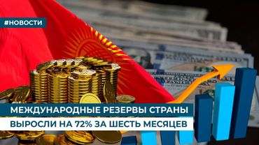 МЕЖДУНАРОДНЫЕ РЕЗЕРВЫ СТРАНЫ ВЫРОСЛИ НА 72% ЗА ШЕСТЬ МЕСЯЦЕВ