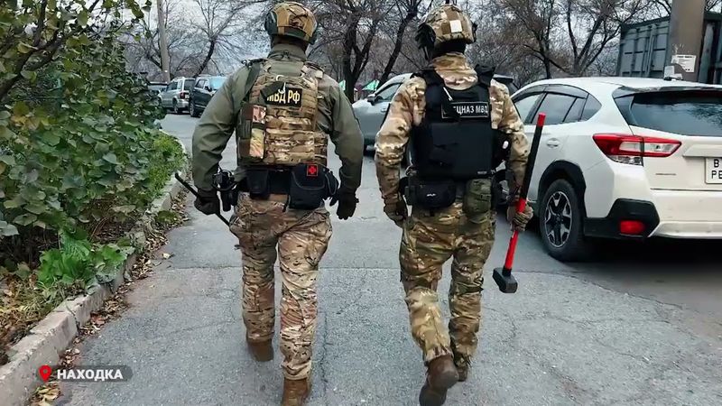 В Приморском крае полицейские задержали участников мошеннической схемы при реализации автомобилей.