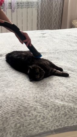 TikTok video #7592954609732209932