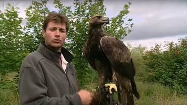 Birds eye view from Golden Eagle flight | Animal Camera | BBC Studios