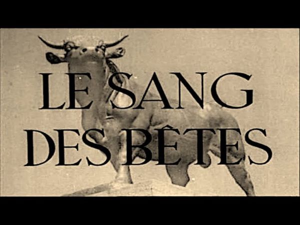 Le Sang des bêtes, Georges Franju  (1948)
