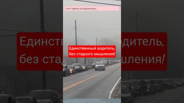 Единственный водитель, без стадного мышления #дорога #город #улица #пробка #траффик #traffic #police