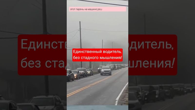 Единственный водитель, без стадного мышления #дорога #город #улица #пробка #траффик #traffic #police