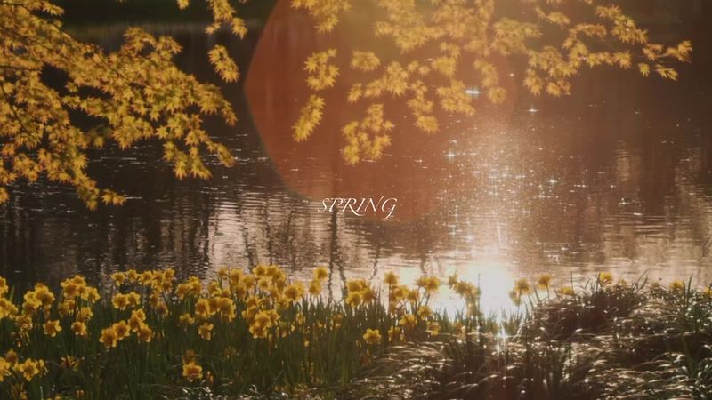 Viết cho bản thân những ngày cảm thấy mình không ổn Tớ biết là có nhữ...