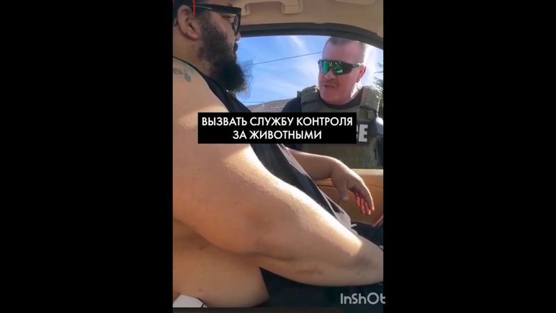 очень смешно..... кошку в приют 🤣🤣🤣🤣🤣