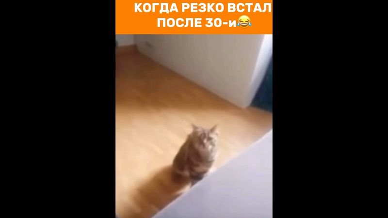 Когда Резко Встал После 30-и😂 Узнали Себя 😹😅