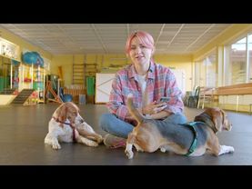 Полное руководство по питанию собак: советы экспертов школы "ЛавГав"