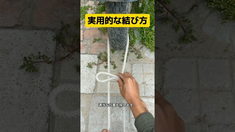 実用的なロープの結び方 #shots  #ショート  #ライフハック