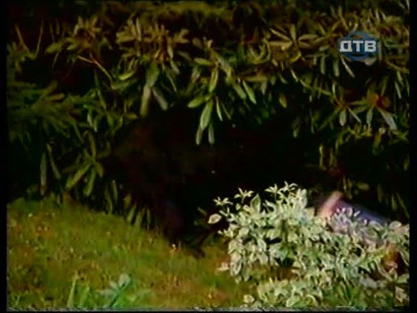 DTV-0(17-11-07 23-04-08) oops nice thing.mpg