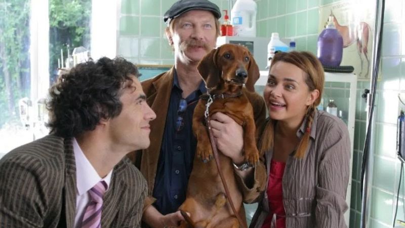 ХВАТИТ СМОТРЕТЬ СКУЧНОЕ КИНО. ВОТ НАСТОЯЩИЙ РАЗРЫВ КОМЕДИЙНЫХ ШАБЛОНОВ. ЧЕТЫРЕ ТАКСИСТА И СОБАКА