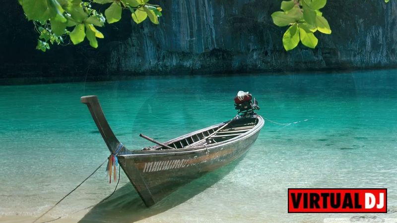 ORGANIC HOUSE MIX  -  JANUARY  (2026)