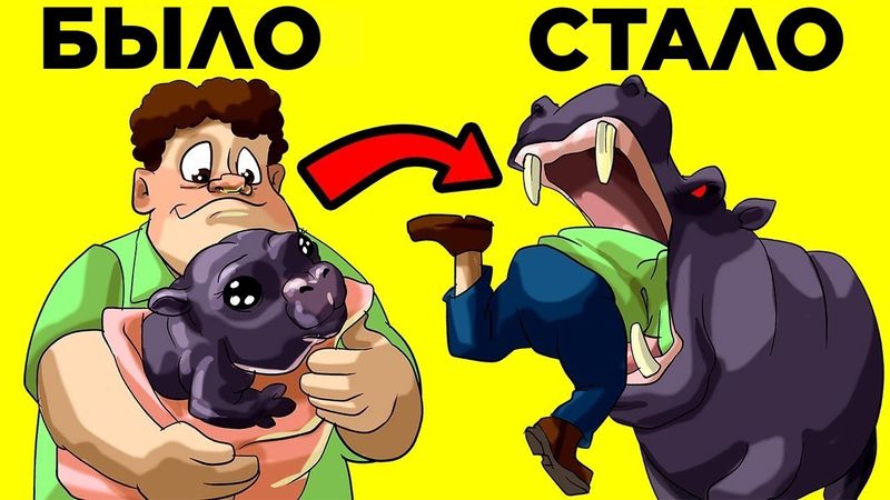 Премия Дарвина: Самые Глупые Смерти. Часть 11