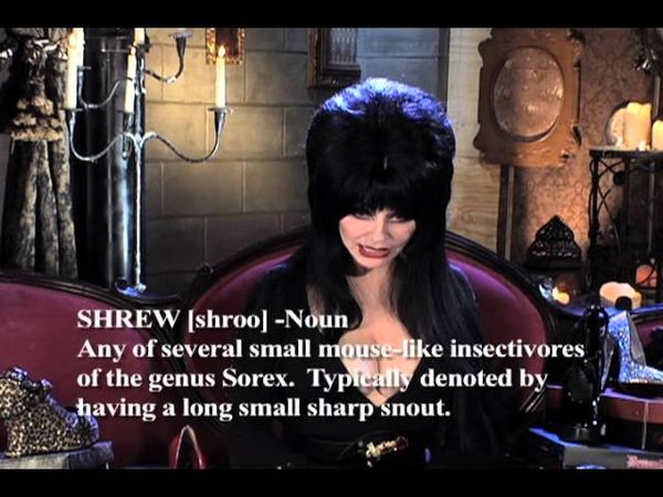 Elvira's Movie Macabre - Bloody Madness DVD Preview: Attack of the Killer Shrews