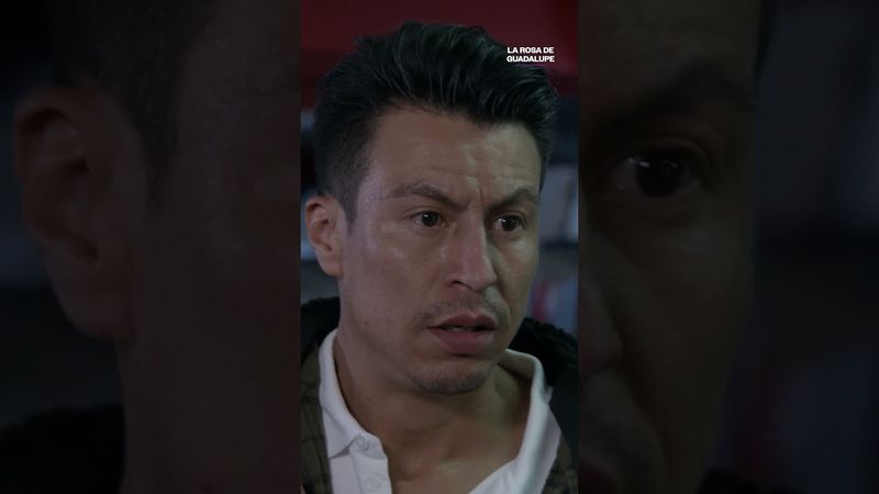 Gustavo atrapa a su compañero robando libros #LaRosaDeGuadalupe #Uninovelas