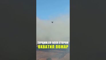 В турецком городе Балыкэсир начался лесной пожар