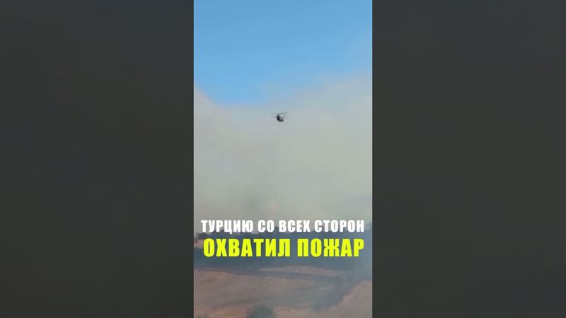 В турецком городе Балыкэсир начался лесной пожар
