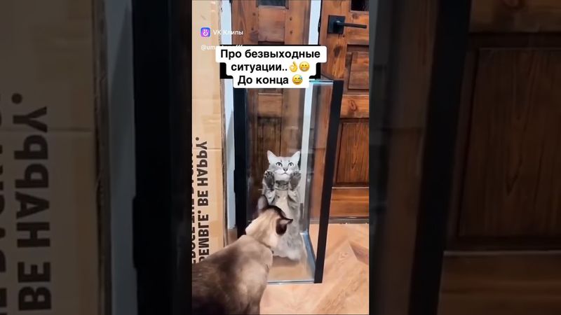 Выход всегда есть🤣