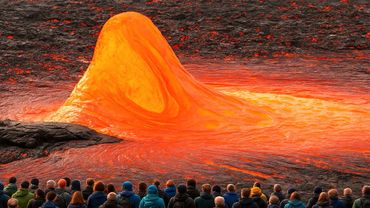 75 Most Unbelievable Nature Moments Ever Caught on Camera"