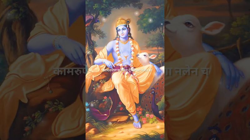 How To Focus On Goal By Lord  Krishna🔥❤⌛🌺#shorts#bhagavadgita#krishna#motivation#geetagyan#trending