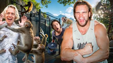 ТРЕНИРОВКА НА ГОРЕ ДИКИХ ОБЕЗЬЯН / ТАЙЛАНД (feat. Парадеич, Раговский)