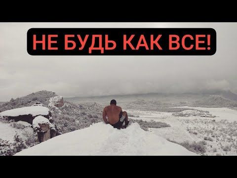 НОВЫЙ ГОД- не для целеустремлённых мужчин! Разбор