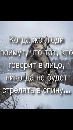 #Н#❤️❤️❤️❤️❤️❤️❤️❤️❤️❤️❤️❤️❤️❤️❤️ #👍👍👍👍👍👍👍👍👍👍👍👍👍👍 #пишите #SpotifyWra...