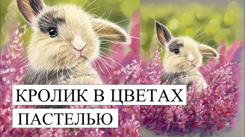 КРОЛИК И ОКРУЖЕНИИ ЦВЕТОВ