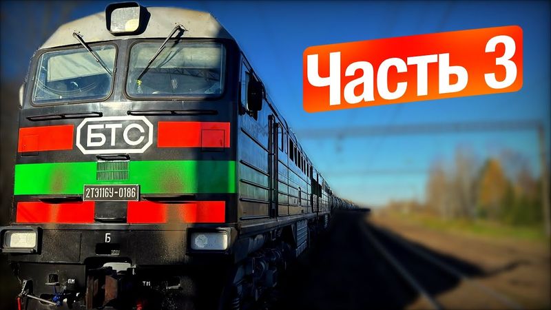 В поездке 🚂:  *Часть 3* Черная на белом