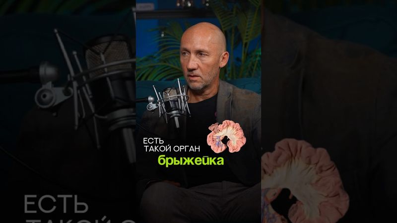 #кишечник #здоровыйкишечник #иммунитет #здоровьекишечника #здоровье #доктор #врач #удивительныефакты