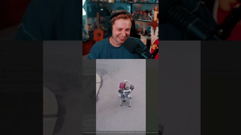 меха кролик #стинт #stint #stintik #прикол #реакция