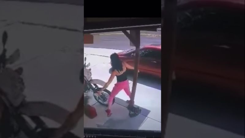 Todo x l maldito celular