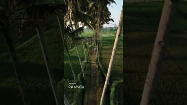 Mini 4 Pro vs DJI Avata, which shot looks better? 🍃  @man.fromearth