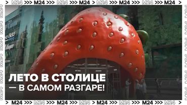 Гигантская клубника, арома-саше и мороженое с берёзовым соком: летний фестиваль в Москве