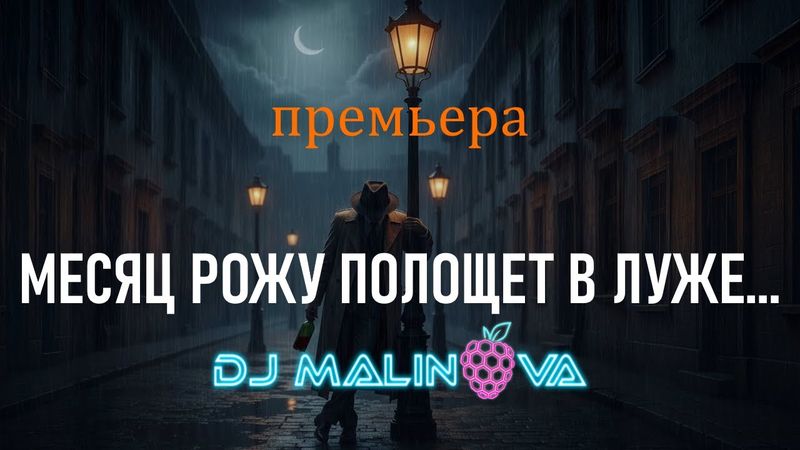 Песня на стихи Есенина – «Месяц рожу полощет в луже» | DJ Malinova | Новая песня 2025 (Премьера)