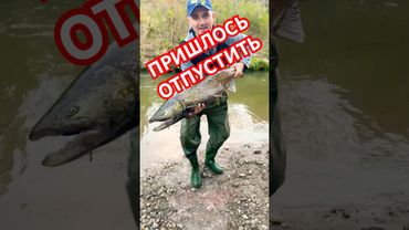 РЫБНАДЗОР 😂😂😂 #рыбалка #fishing #прикол #funnyvideo #like