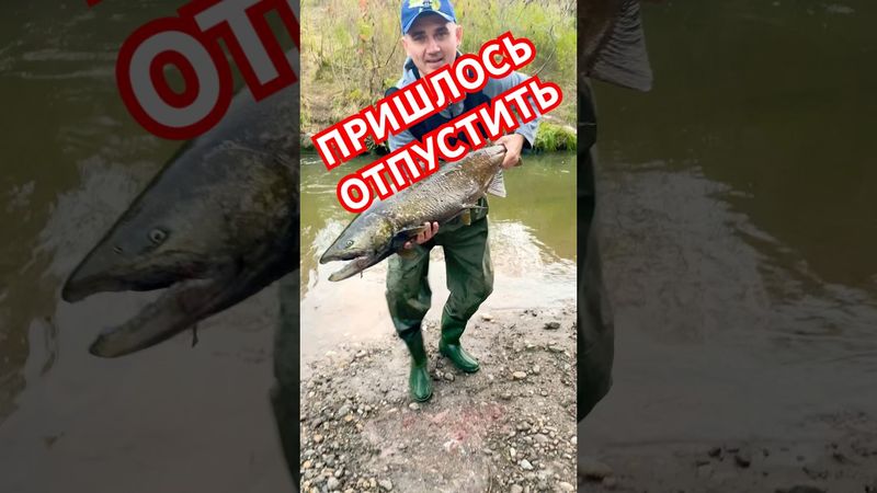 РЫБНАДЗОР 😂😂😂 #рыбалка #fishing #прикол #funnyvideo #like
