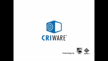 Bandai Namco Games/Criware/ADX/Sofdec/CyberConnect2 (2007)