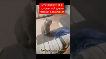 САМЫЙ НЕДОВОЛЬНЫЙ 🐱 🐈 В МИРЕ#прикол #мем#cats