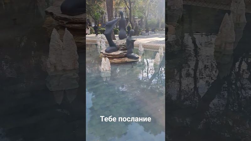 мудрые слова #цитатыосмысле #цитатыпрожизнь #психология #рекомендации