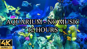 AQUARIUM 4K Coral Reef 4K Aquarium No Music No Ads - 12 Hours | Meditation | Relaxation | Sleeping