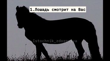 Только один раз посмотри и проверь себя! Какое полушарие мозга у тебя доминирует? Тест на характер