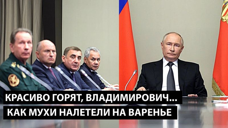 Красиво горят, Владимир Владимирович... КАК МУХИ НАЛЕТЕЛИ НА ВАРЕНЬЕ...