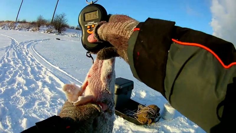 ЩУКА ПРОКУСИЛА ПАЛЕЦ.Рыбалка на жерлицы по первому льду.