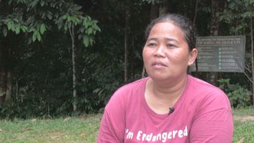 В Малайзии отряд женщин-рейнджеров помогает редким гиббонам