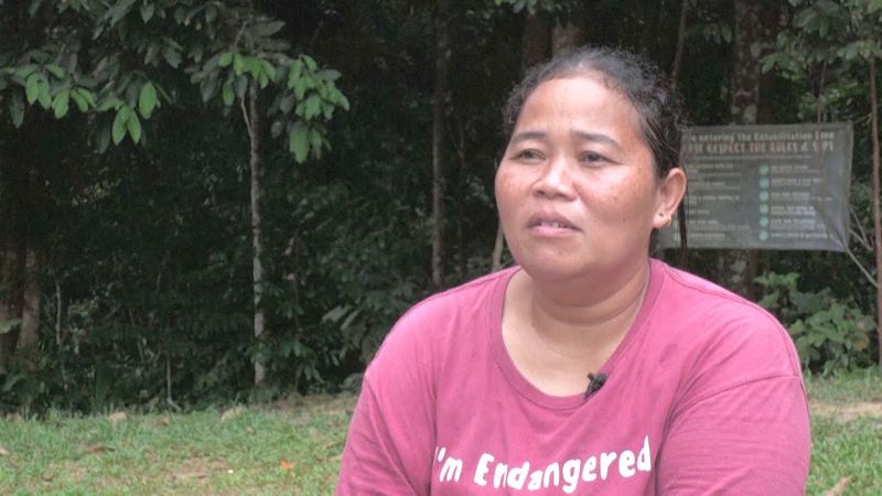 В Малайзии отряд женщин-рейнджеров помогает редким гиббонам