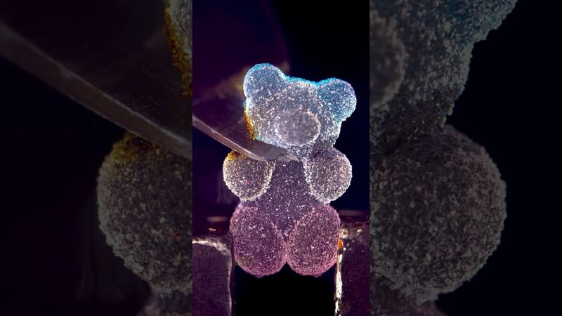 Gummy Bear & Hot Knife