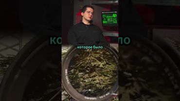 Конфликт Рекрента и Макатао 😭 Узнать за 30 минут с Диной Блин