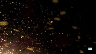 Видеофон "Летящие искры"